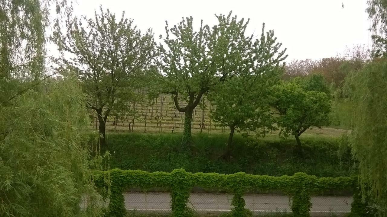 Roddi Agriturismo Cascina Barin מראה חיצוני תמונה